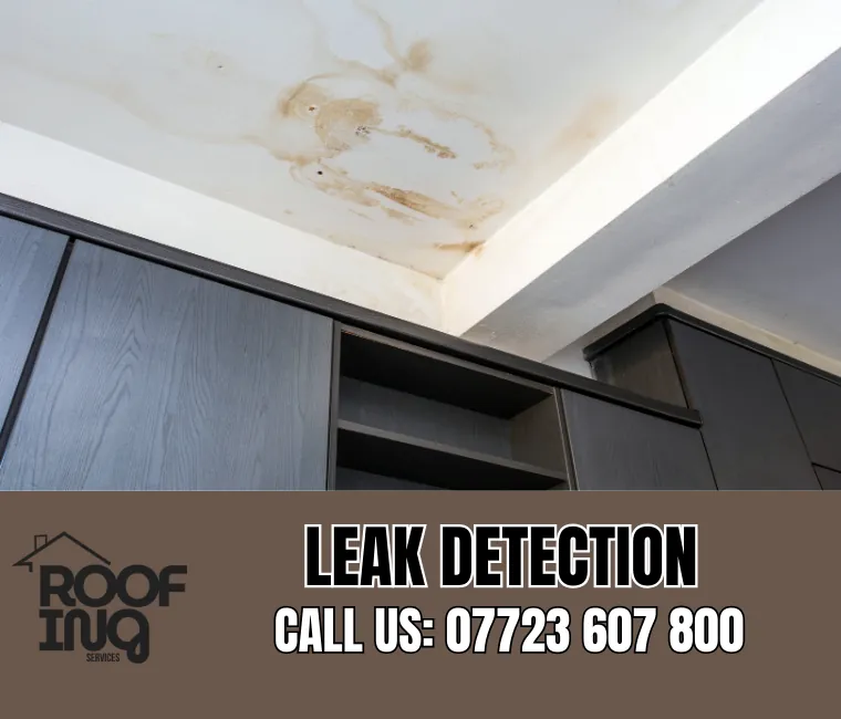 Roof Leak Detection in Honiton