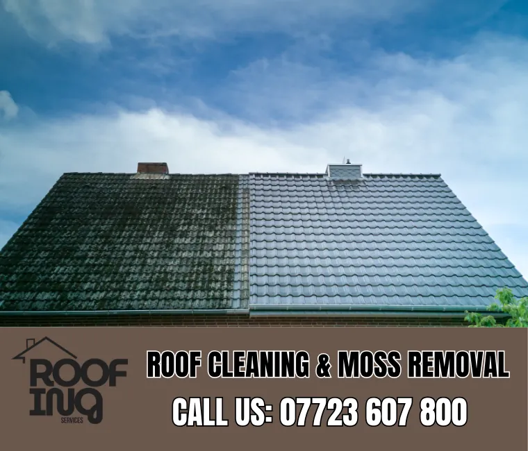 Roof cleaning and moss removal in Honiton
